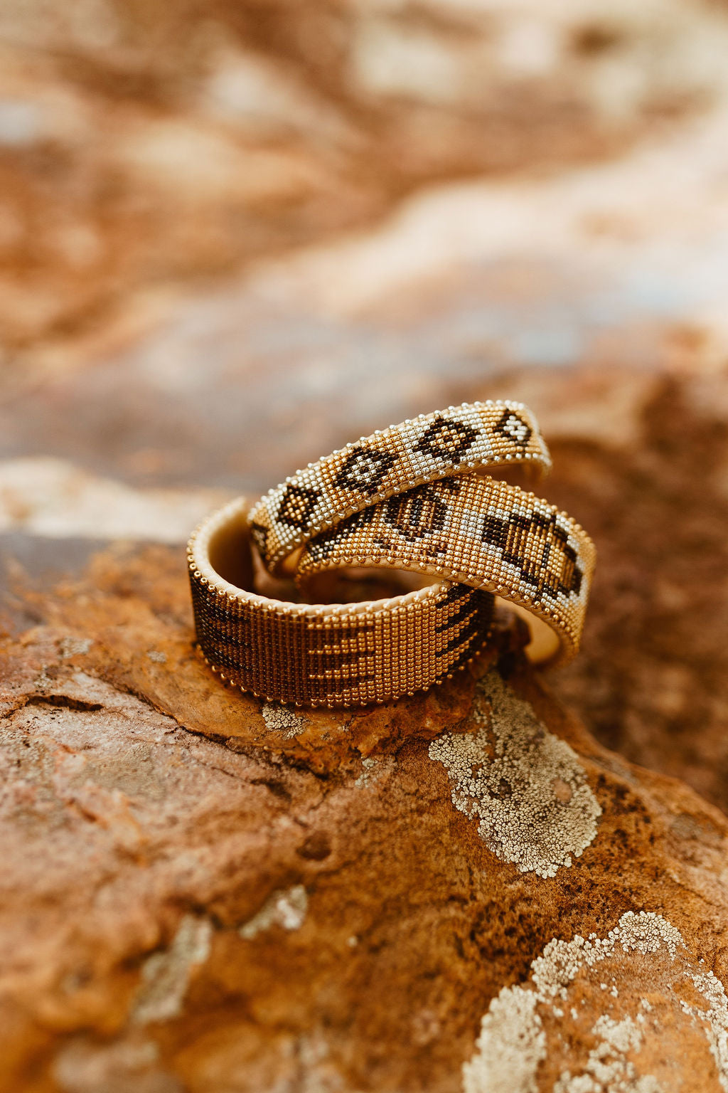 New Mexico Desert Collection