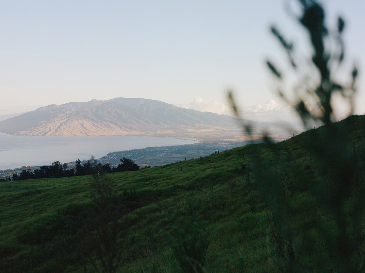 Green hillside on Maui looking out over the water to the mountains